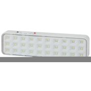 Светильник светодиодный DBA-102-0-20 30LED 5ч IP20 выход аварийный непостоянный Эра Б0044395