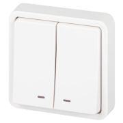 Выключатель Эксперт 11-1525-01 двойн. с подсветкой IP55 10АХ-250В СУ бел. Эра Б0063304