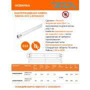Лампа бактерицидная с УФ-С излучением TIBERA UVC T8 15W G13 LEDVANCE «OSRAM»
